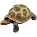 Simulation Turtle Garden Statue Realistic Tortoise Figurine Plastic Animals Sea Decor Ocean Model Figurines Child