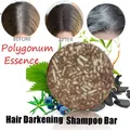 Shampooing à l'essence de polygonum biologique pour cheveux noirs embausolide colorant naturel