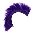 SOIMISS 5pcs Helmet Wig Fun Wigs Rainbow Wigs Skinhead Costumes Wig Mohawk Wigs for Men Bowl Cut Wig Carnival Party Hairpiece Funny Wig Men Wig Purple Man High Temperature Wire Clown Crest