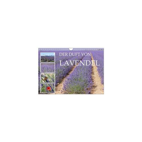 Der Duft von Lavendel (Wandkalender 2024 DIN A4 quer), CALVENDO Monatskalender – Calvendo