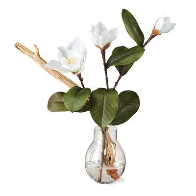 White Magnolias & Ghostwood in Light Bulb Vase - Frontgate