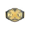 NXT Championship Toy Title