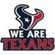 Houston Texans Pin Badge - Houston Texans