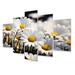 Gracie Oaks Daisies Field Sunrise I - Floral Metal Wall Decor Set Metal in White/Yellow | 32 H x 60 W x 1 D in | Wayfair