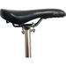 Titanium Balance Seatpost for Brompton Folding Bike 31.8mm Ultra Light Seat Saddle Post Fit 7*7 / 7*9 Rails (550 Titanium Color)