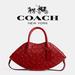 Coach Bags | Nwt Coach Runway Lip Kiss Bag Signature Leather Red Purse Zippered Case Nyfw | Color: Red | Size: Os
