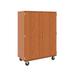 Stevens ID Systems 12 Compartments Mobile Classroom Cabinet w/ Locking Doors Wood in Brown | 67 H x 48 W x 24 D in | Wayfair 80185 F67-041