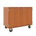 Stevens ID Systems 18 Open Tray Classroom Storage Mobile Cart Wood in Brown | 44 H x 67 W x 24 D in | Wayfair 80249 F36-041