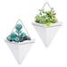 BULYAXIA Large Wall Planter 2 Pack Ceramic Planter Indoor Hanging Planter Wall Decor for Succulent Cactus Air Plant Faux Plants(Large White+Sliver)