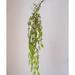 RusticReach Petite Foliage Weeping Fern Sprig