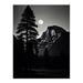 Full Moon Rising over Half Dome Black and White Unframed Wall Art Print Poster Home Decor Premium