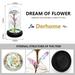 Christmas Rose Gift for Her Birthday Gifts for Women Galaxy Glass Rose Flower Gift in a Glass Dome Led Light Colorful Artificial Flower Rose Gifts for Thanksgiving Christmas Birthday Gift