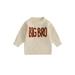 Toddler Baby Boys Girls Fall Winter Sweater Kids Long Sleeve Big Bro Embroidery Pullover Knitwear