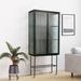17 Stories Retro Style Vertical Storage Sideboard w/ 2 Glass Doors & Metal Frame for Indoor Use Metal in Black | Wayfair