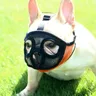 Bulldog museruola francese Dou Ying Dou Pet Dog museruola bocca corta cane Anti-morso maschera