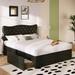 Black Leather Upholstered Queen Platform Bed w/Large Cat Ears Button Nailhead Headboard, 4 Drawers, Heavy Duty Storage Bed Frame