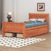 Alcott Hill® Cierah Bed Wood in Brown | 35.4 H x 41.1 W x 82.6 D in | Wayfair 461C49F21C224D14BDBDC6BE570B9273