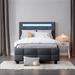 Ivy Bronx Kejaun Bed Upholstered, Linen in Gray | 43.7 H x 41.7 W x 80.7 D in | Wayfair D4CE52E3BD804546835A8C8DCE2D415A
