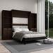 Hokku Designs Jaquinta Murphy Storage Bed Wood in Brown | 81.5 H x 90 W x 108 D in | Wayfair C78B1049B766449FB09CDF15D1E215A0