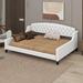 Red Barrel Studio® Tramone Modern Luxury Tufted Button Daybed, Full Upholstered, Wood in White | 33.8 H x 60.6 W x 80.7 D in | Wayfair
