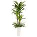 Puleo International 6 ft. Artificial Dracaena Fragrans Tree