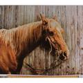 X 44 Panel Horse Palomino Equestrian Animals Hold Your Horses Digital Print Cotton Fabric Panel (PD7013-Palomino)