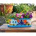 Arlmont & Co. Noeliz Handmade Mexican Talavera Colorful Flower Pot Succulent Planter & Saucer Turquoise Ceramic | 5.5 H x 15 W x 7 D in | Wayfair