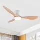 Ventilateur de plafond LED DC avec télécommande lampe sol inférieur maison ventilateur de patch