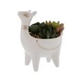 Llama Planter Pot with Faux Succulents | Planter Pot | Faux Succulents | Ceramic Planter | Standing Planter | Succulent Pots | Llama Pot