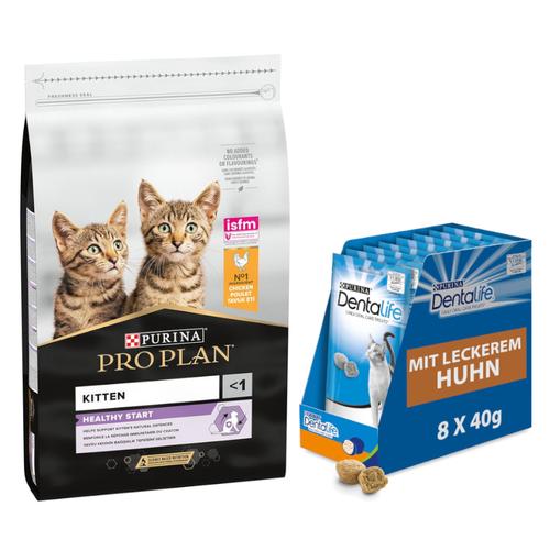 10kg PRO PLAN Kitten Healthy Start reich an Huhn PURINA Katzenfutter trocken + 8x40g Dentalife...