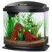 Aqueon LED MiniBow 2.5 SmartClean Aquarium Kit Black 2.5 gallon