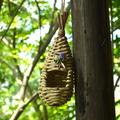 Bird Nest with Bow Bird Cage Outdoor Hanging Bird Cage Natural Handmade Bird s Nest Teardrop Shaped Small Birds Nest for Birds to Rest and Breed
