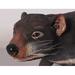 Loon Peak® Incardona Tasmanian Devil Life Size Statue Resin in Black/Brown/White | 12 H x 29 W x 8 D in | Wayfair 06B0146E418A48AC94CE9DB00EB23CBC