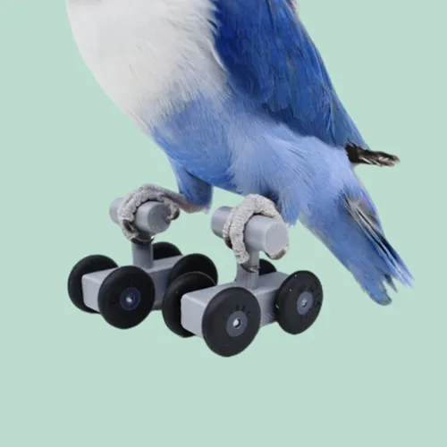 Vogel Ausbildung Spielzeug Set Mini Rollschuhe für Papageien Sittiche Nymphensittich Skates