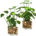 2 Pcs Green Plant Potted Ornaments Home Bonsai Decor Artificial Faux Plants for Indoor Fake Desk Office