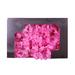 Uehgn 1 Box Preserved Dried Rose Flower Petals Valentine Day Gift DIY Wedding Decor