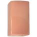 Ambiance 13 1/2"H Blush Rectangle Closed Outdoor Wall Sconce
