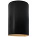 Ambiance 9 1/2"H Carbon Black Gold Cylinder Outdoor Sconce