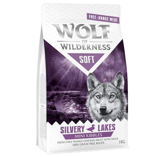 Wolf of Wilderness 