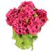 August Grove® 7 Artificial Full Blooming Stain Hydrangea Stem Plastic | 22 H x 14 W x 11 D in | Wayfair AGGR5906 39559891