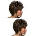 2 pcs Women Short Hair Wear Fashion Long Blunt Bangs Hair Wig Cover Stylish Hair Accessories for Party Girls(Black Brown)