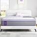 Queen Memory Foam Mattress - Alwyn Home Krisha 14 inches Euro Top Soft Hybrid | 80 H x 60 W in Wayfair 9D8A5A239D0E4919B857481CA3A873ED