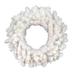 Hashtag Home Alayah Pre-Lit Spruce Artificial Christmas Wreath - Multi-Color Lights Traditional Faux, in White | 24" H x 24" W x 3" D | Wayfair