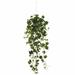 Primrue English Ivy Hanging Basket Artificial Plant | 10 H in | Wayfair 8CA452DB28114CCAAA3B834E86E3D1E0