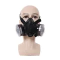 Cartouche filtrante P-A-1 de masque à gaz industriel d'irateur de vaccination de gaz de demi visage