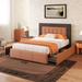 Orange+Dark Brown Pu Leather & Velvet Storage Platform Bed, Four Drawers