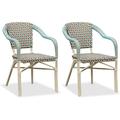 PURPLE LEAF Dining Chair Set of 2 Outdoor Dining Chairs French Hand-Woven Wicker White Print Finish Armchairs for Patio Porch Garden Indoor Colorful