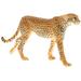 2pcs Plastic Figurine Statue Simulated Wildlife Animal Model Toy for Kids