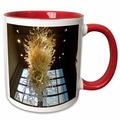Beautiful Glass Sculpture Chandelier and Window with a View- Photography 15oz Two-Tone Red Mug mug-40250-10