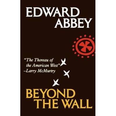 Beyond The Wall: Essays From The Outside